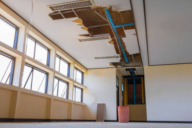  Kenworth, IL Water damage restoration Pros