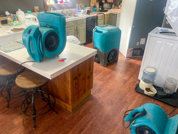 Best Ceiling water damage repair  in Kenworth, IL