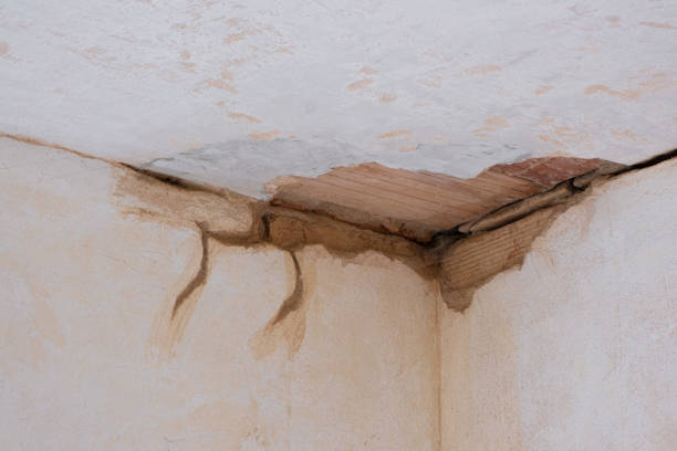 Best Flood restoration services  in Kenworth, IL