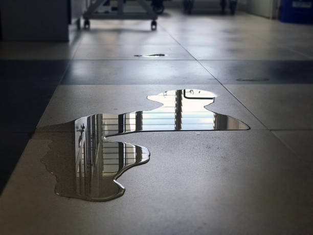 Best Water damage restoration process  in Kenworth, IL