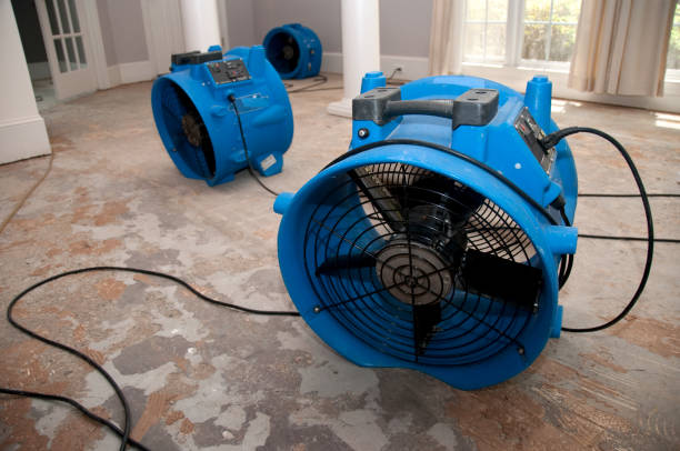 Best Emergency water damage restoration  in Kenworth, IL