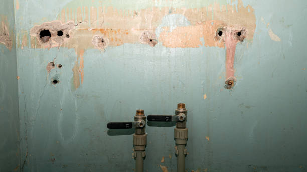 Best Sewage cleanup and water damage restoration  in Kenworth, IL