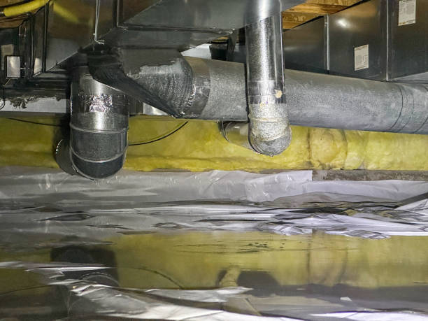 Best Flood damage cleanup  in Kenworth, IL