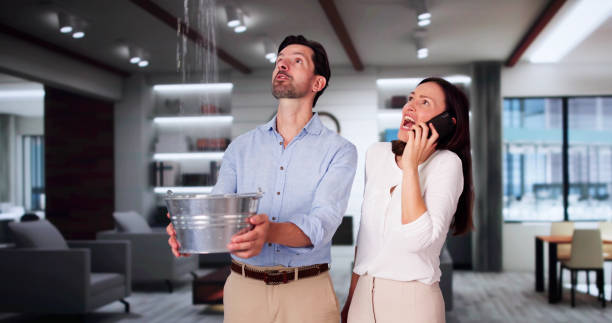 Best Commercial water damage restoration  in Kenworth, IL
