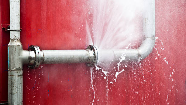 Best Water damage restoration specialists  in Kenworth, IL