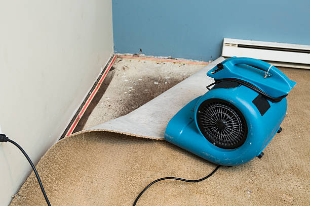 Best Flooded house restoration  in Kenworth, IL